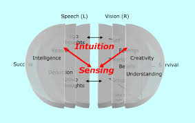 Sensing Intuition